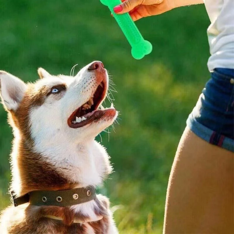 Teeth Cleaning Dog Chew Bone - 超タフな犬の骨咀嚼おもちゃレインボー積極的な咀嚼子犬の歯のクリーニングブルートレーニングクリッカー屋外服従トレーニング