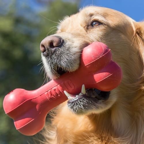 Rubber Treat Dispensing Dog Toy - クラシックで丈夫な天然ゴム製犬用ボーン、精神的な交流を促進 - おやつ入れ - レッド -