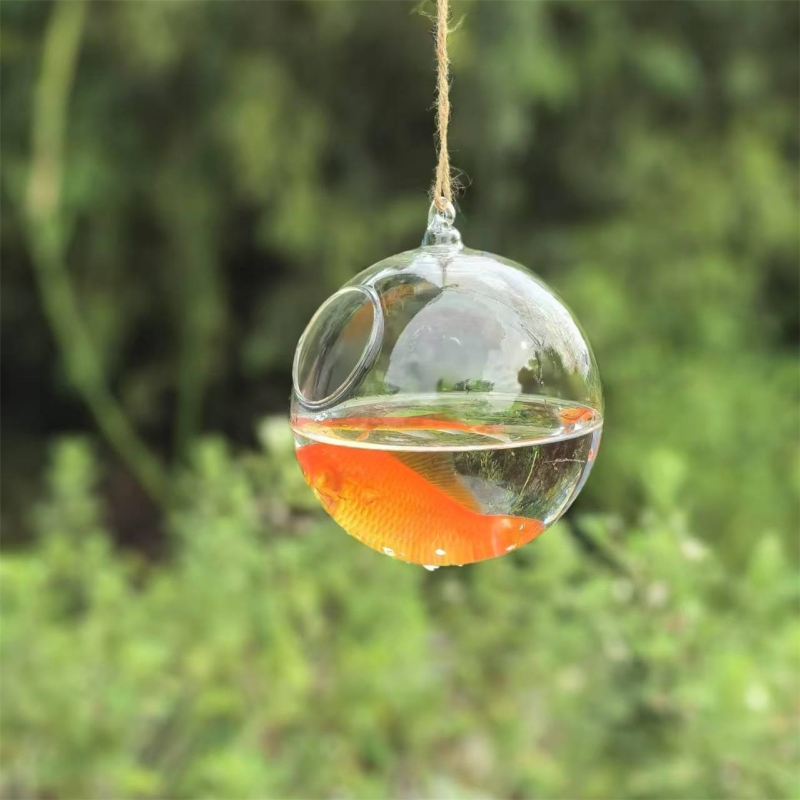 Aquarium - 小型梱包直径=10cm 12cm 15cm 20cm 透明ガラス製テラリウム金魚鉢 ホームデコレーション