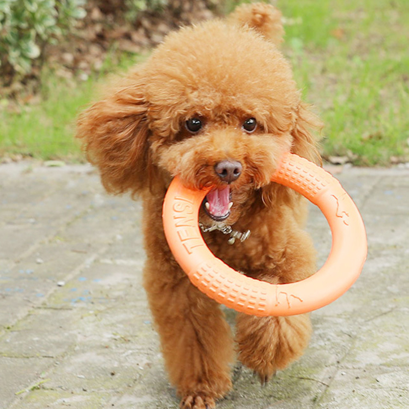 オレンジ色の犬のおもちゃペットフライングディスクトレーニング - Indestructible Dog Chew Toy のレビューと価格