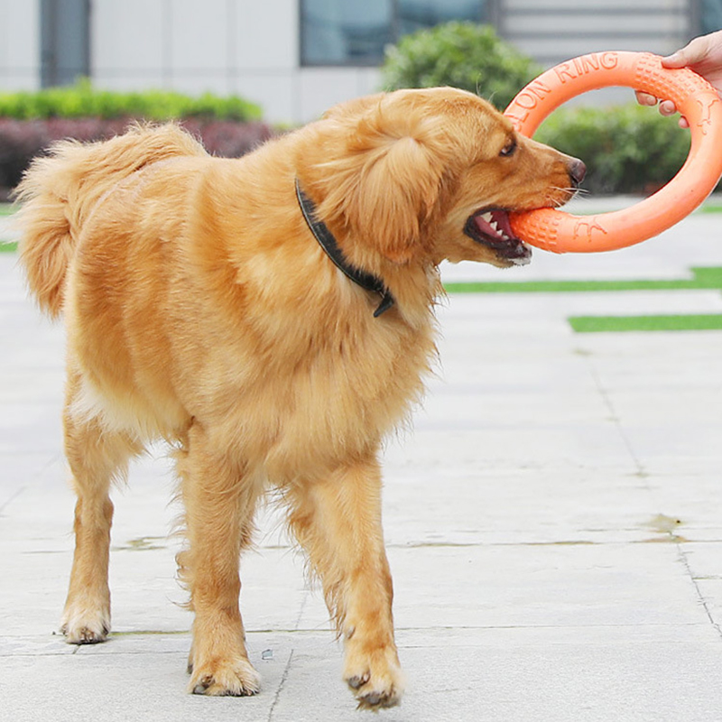 オレンジ色の犬のおもちゃペットフライングディスクトレーニング - Indestructible Dog Chew Toy のレビューと価格