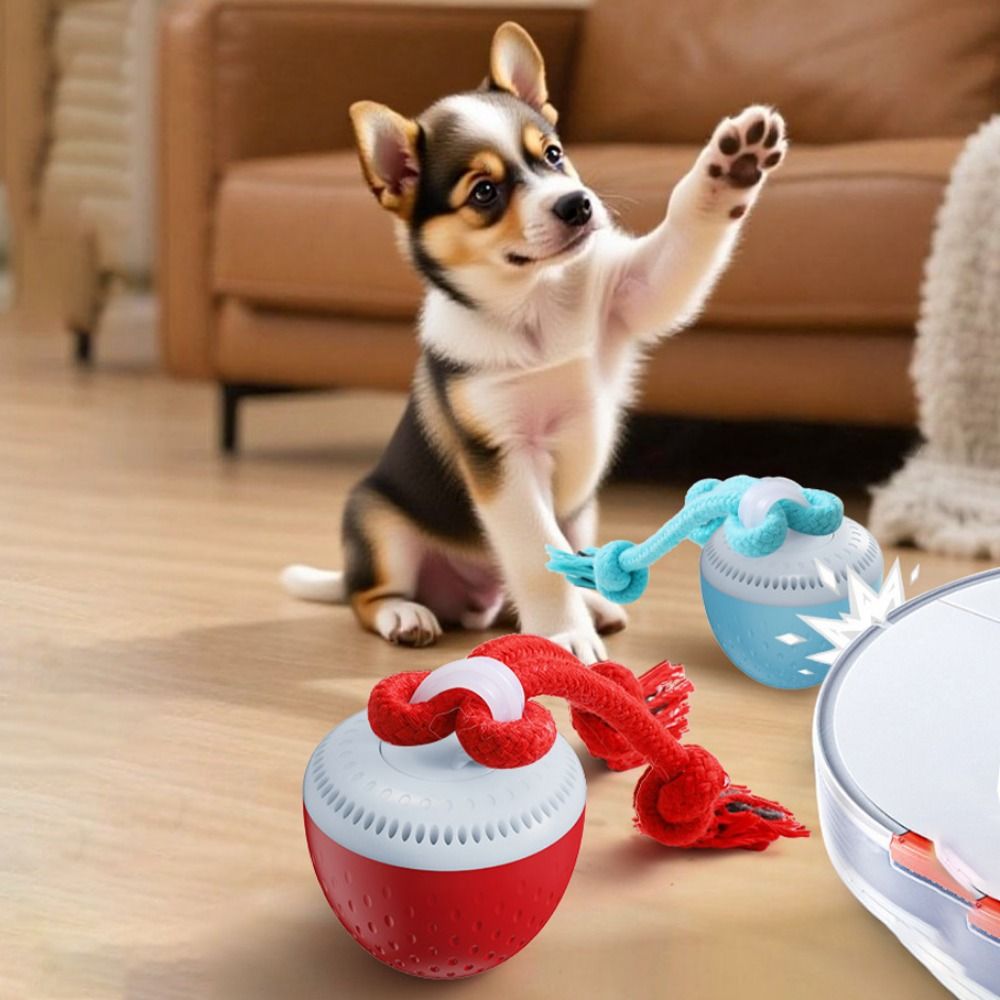 耐噛み性スマートペットおもちゃボールランダムパスUSB充電式 - Automatic Moving Dog Ball のレビューと価格