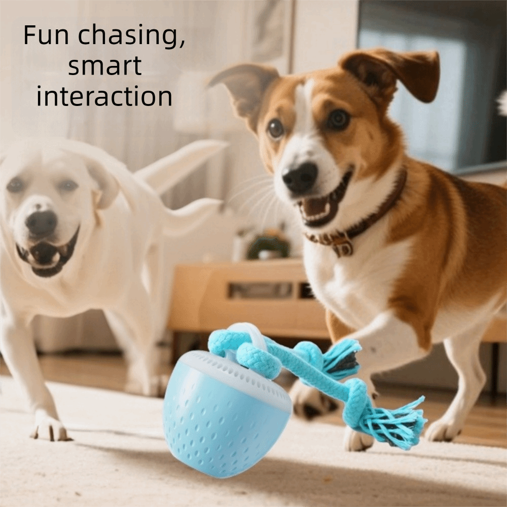 耐噛み性スマートペットおもちゃボールランダムパスUSB充電式 - Automatic Moving Dog Ball のレビューと価格