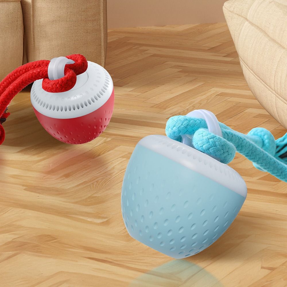 耐噛み性スマートペットおもちゃボールランダムパスUSB充電式 - Automatic Moving Dog Ball のレビューと価格