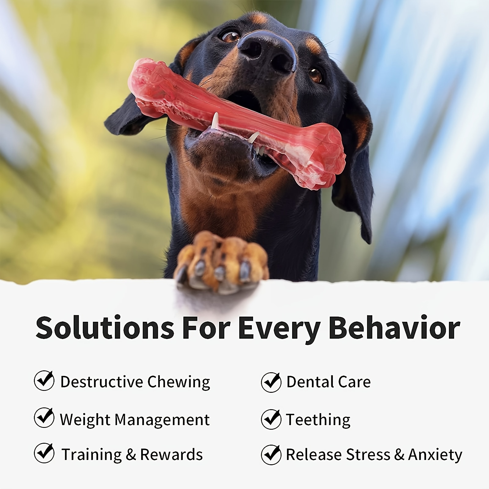シリコン製犬用噛むおもちゃ、天然ゴム製、無毒、強い噛み癖のあ - Indestructible Dog Chew Toy のレビューと価格
