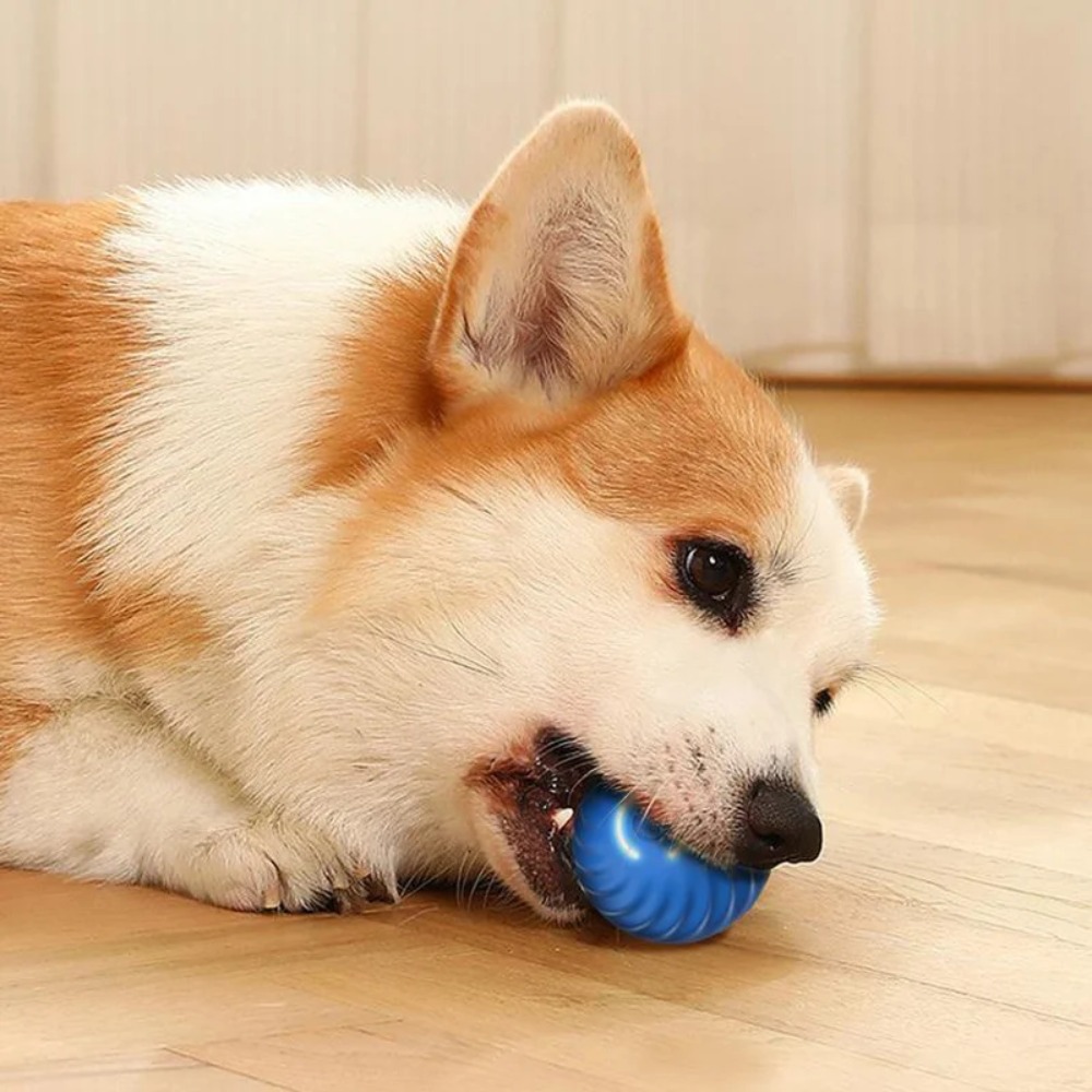 自動移動犬のおもちゃのボール,インテリジェントなUSBジャン - Automatic Moving Dog Ball のレビューと価格