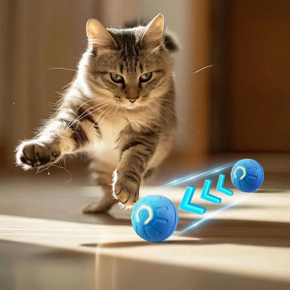 自動移動犬のおもちゃのボール,インテリジェントなUSBジャン - Automatic Moving Dog Ball のレビューと価格