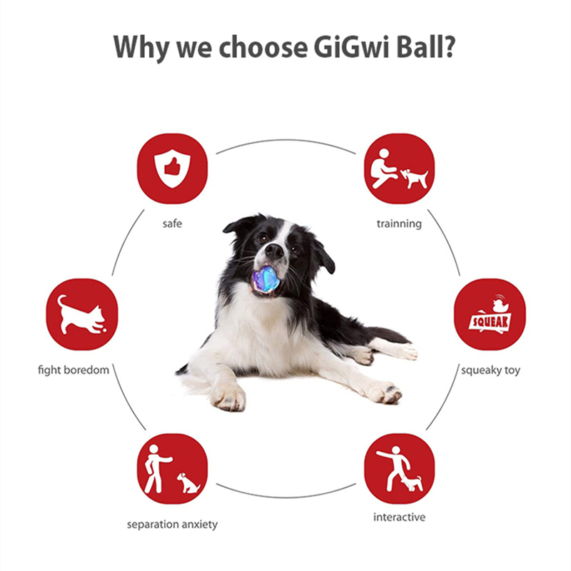 ペット犬子犬用鳴き笛おもちゃ、純粋な天然無毒ゴム製、屋外遊び - Indestructible Dog Chew Toy のレビューと価格