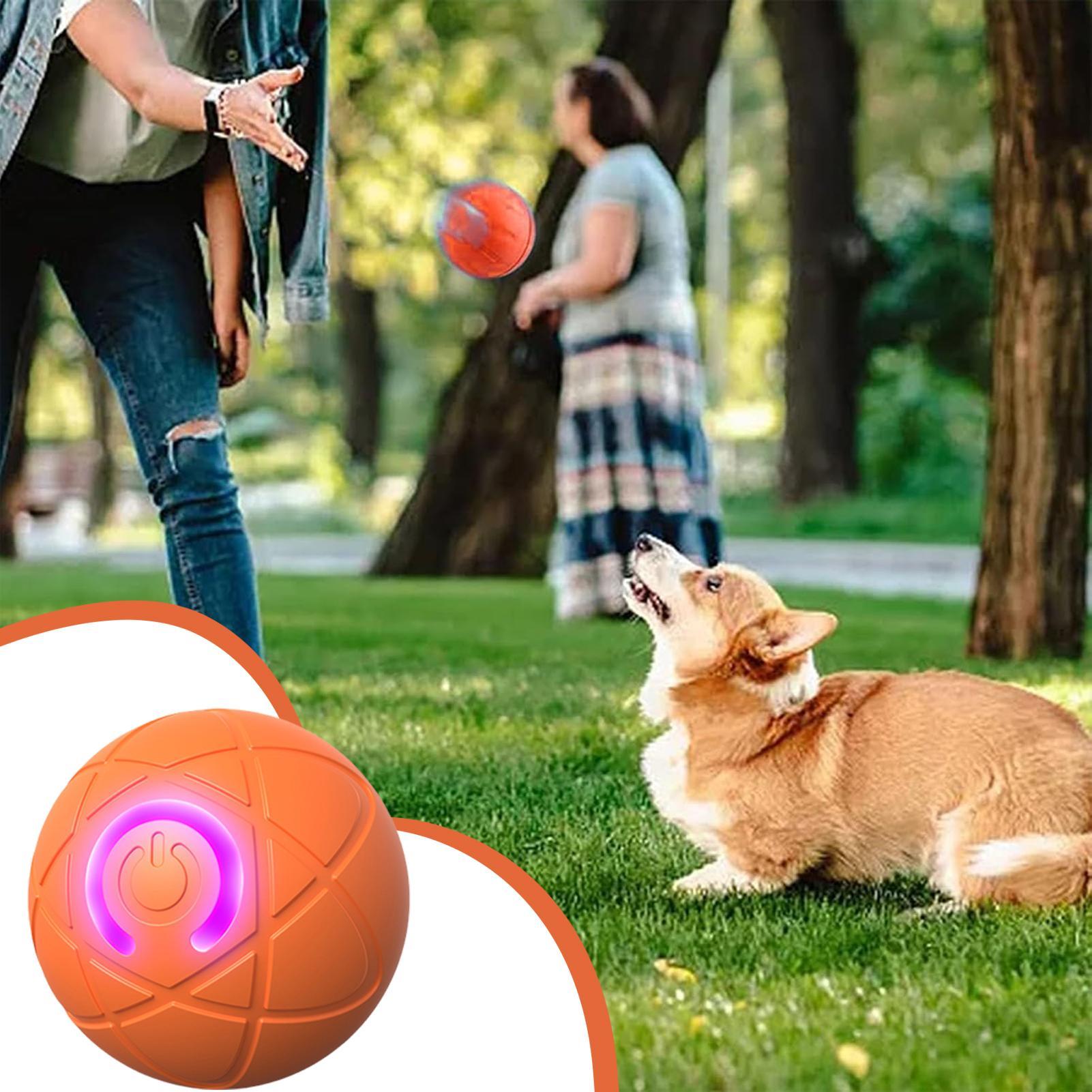 スマートインタラクティブドッグトイ、噛む力の強い犬用、自動移 - Automatic Moving Dog Ball のレビューと価格