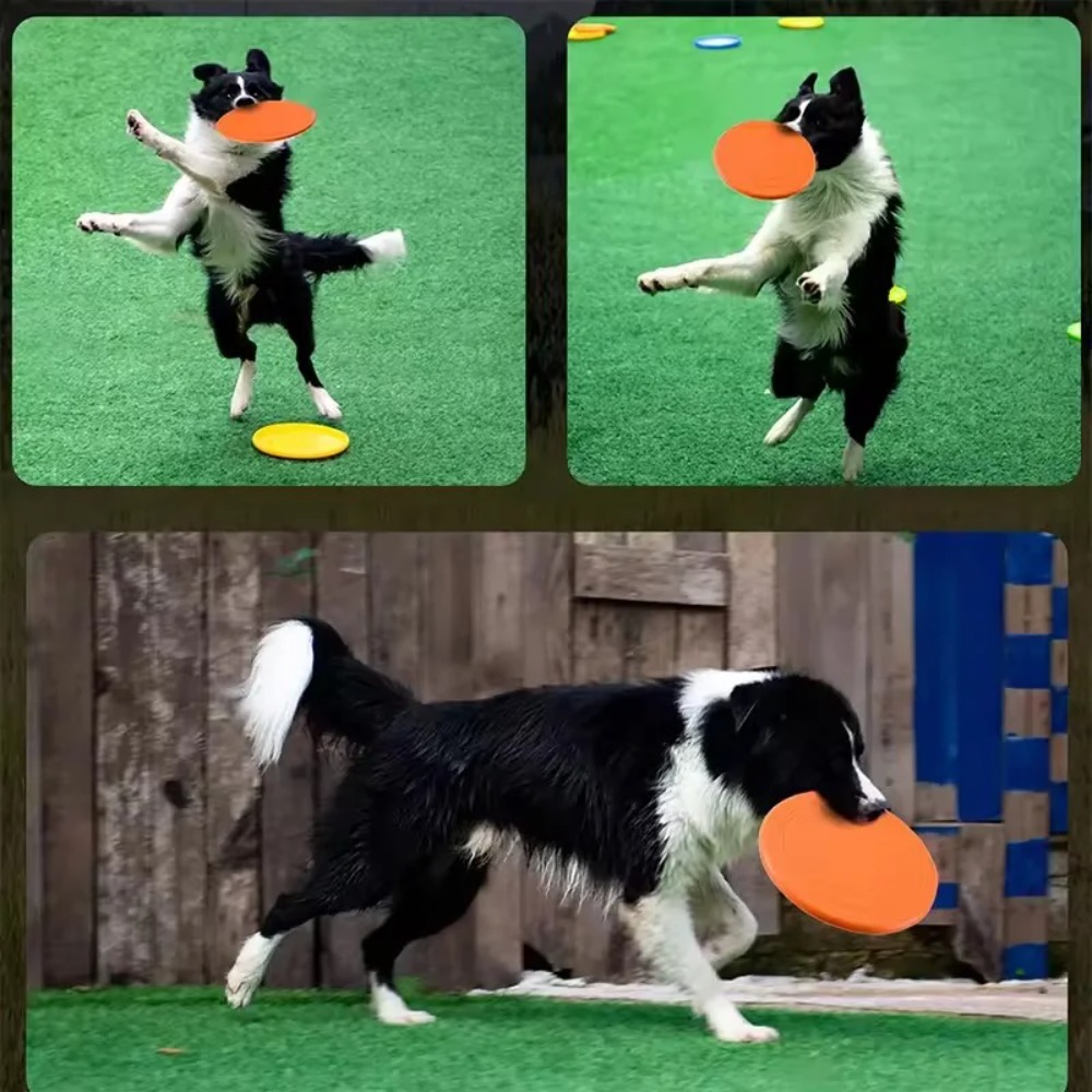 犬用フライングディスク TPRペットおもちゃ インタラクティ - Flying Disc Dog Training Toy のレビューと価格