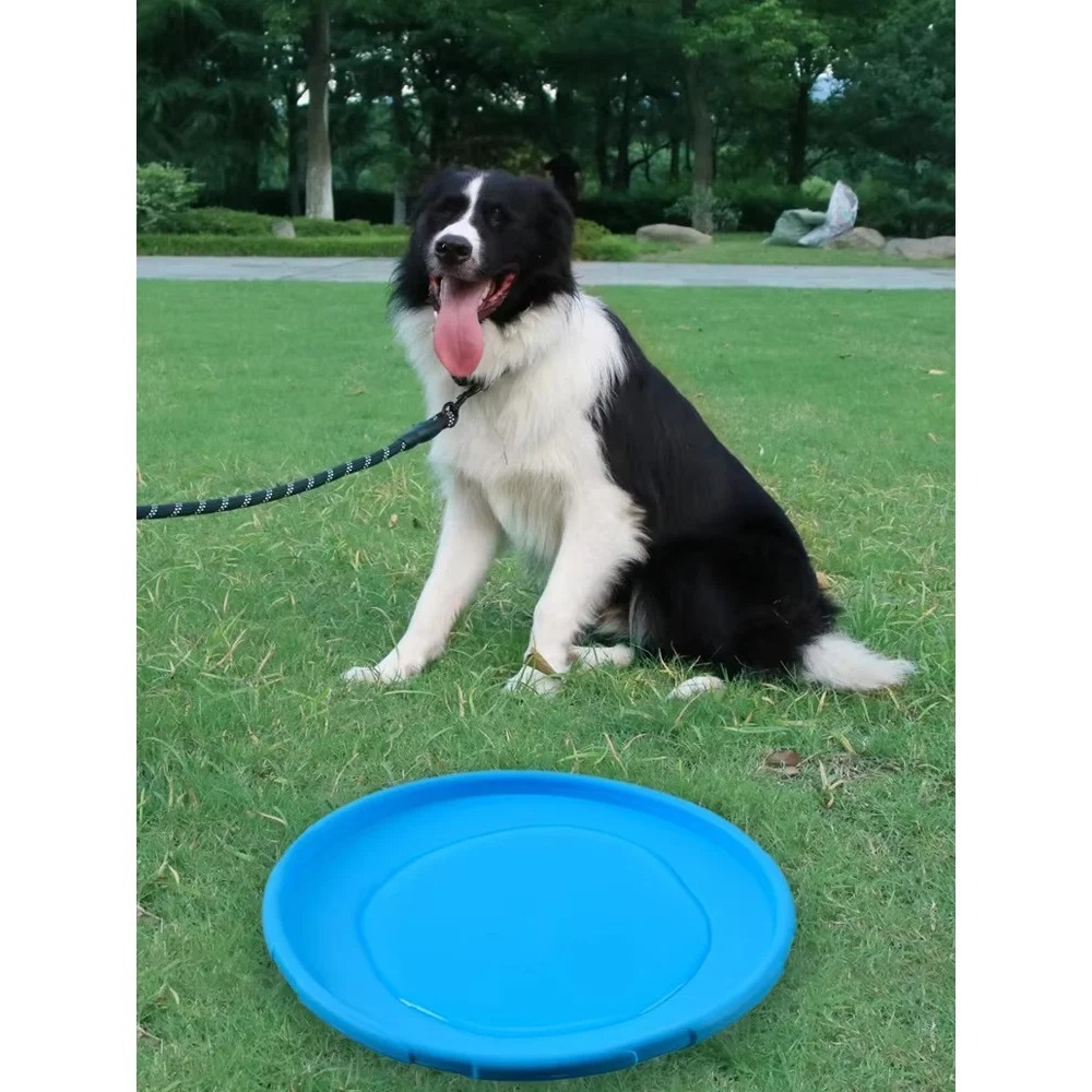 犬用フライングディスク TPRペットおもちゃ インタラクティ - Flying Disc Dog Training Toy のレビューと価格