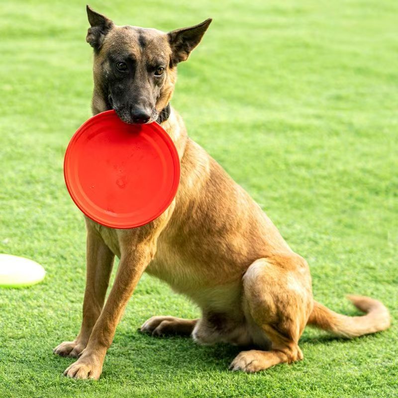硬質プラスチック製犬用フリスビー 肉球型滑り止めフライングデ - Flying Disc Dog Training Toy のレビューと価格