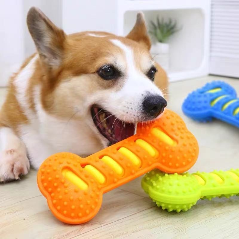 ゴム製犬用臼歯スティック 無毒歯磨き噛むおもちゃ 耐久性のあ - Teeth Cleaning Dog Chew Bone のレビューと価格