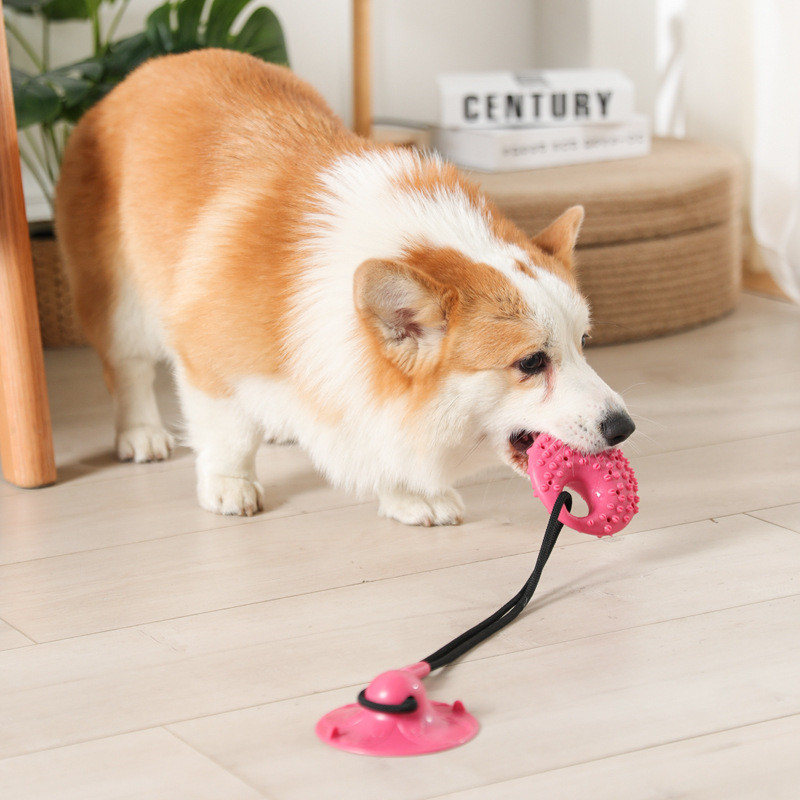 犬のおもちゃシリコン吸盤タグボートインタラクティブ犬ボールお - Suction Cup Dog Tug Toy のレビューと価格
