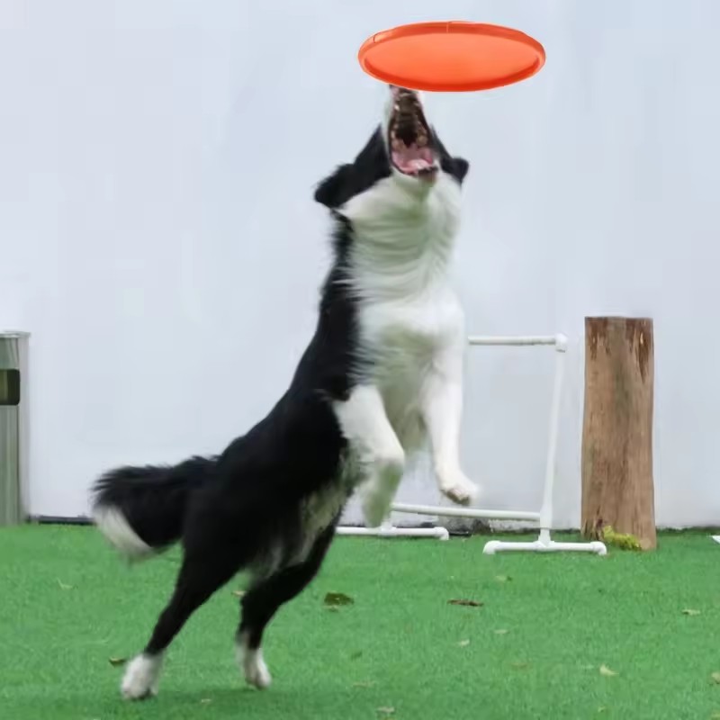 犬用インタラクティブシリコン製フライングソーサーおもちゃ、噛 - Flying Disc Dog Training Toy のレビューと価格