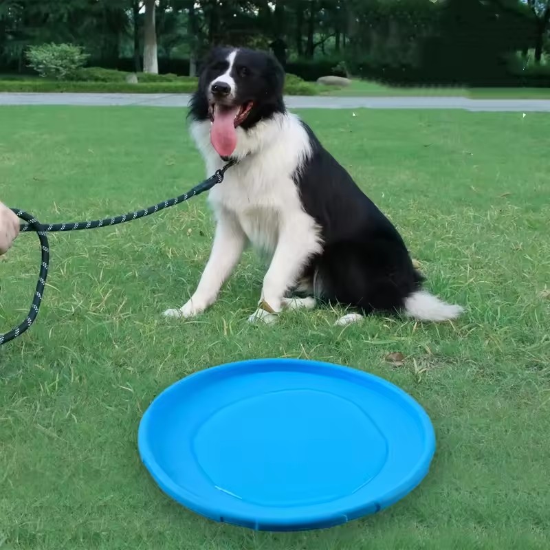 犬用インタラクティブシリコン製フライングソーサーおもちゃ、噛 - Flying Disc Dog Training Toy のレビューと価格