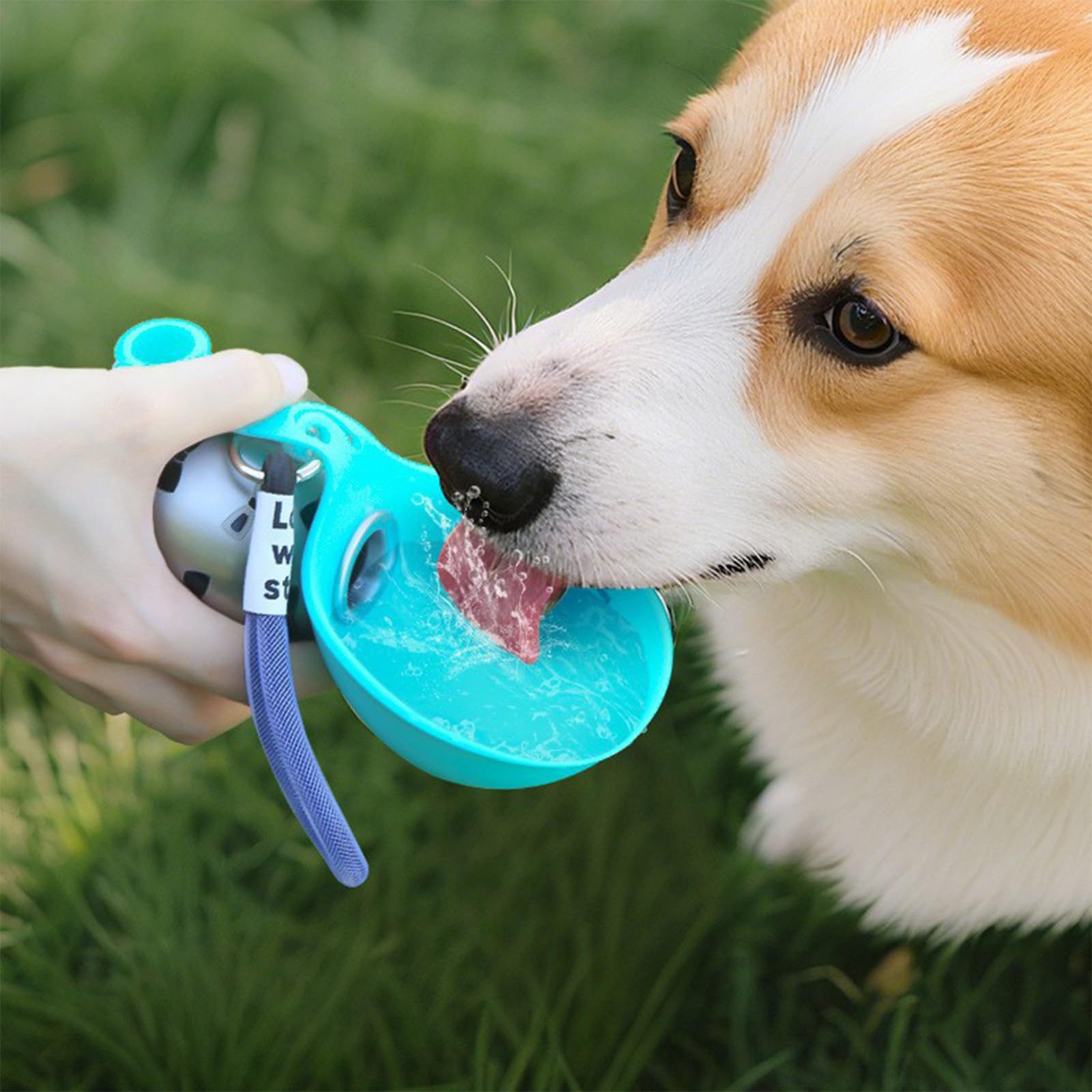 ACGグッズ ポータブルシリコンペットウォーターディスペンサ - Pet Feeders のレビューと価格