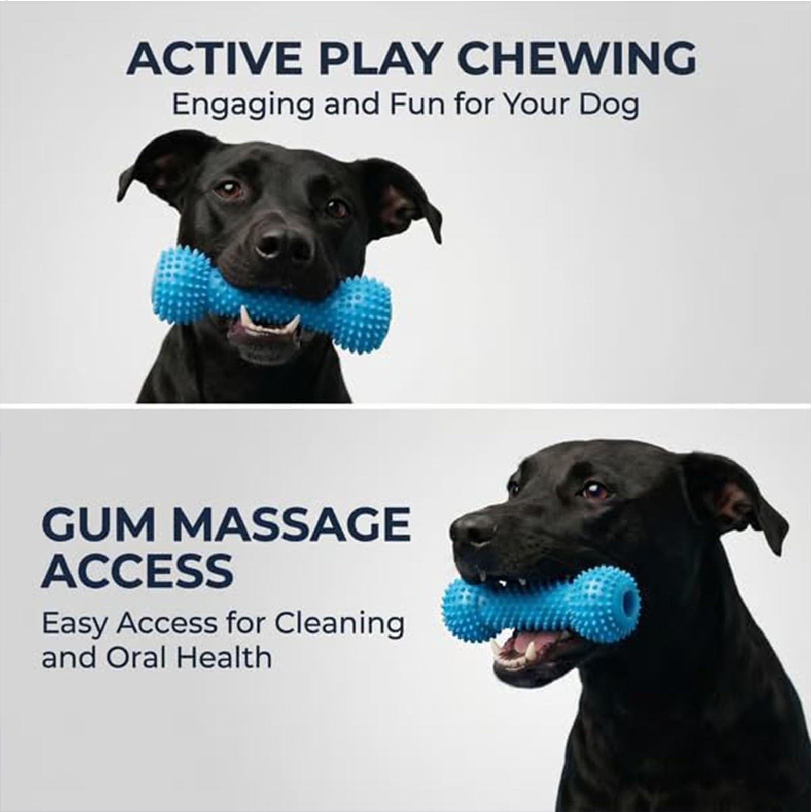 犬用歯磨きおもちゃ、噛む棒、口開け器、ペット用品、子犬用イン - Rubber Treat Dispensing Dog Toy のレビューと価格