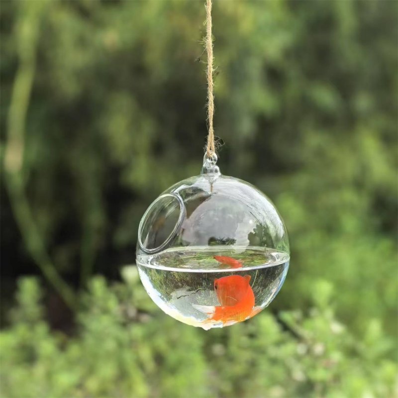 小型梱包直径=10cm 12cm 15cm 20cm 透明ガ - Aquarium のレビューと価格