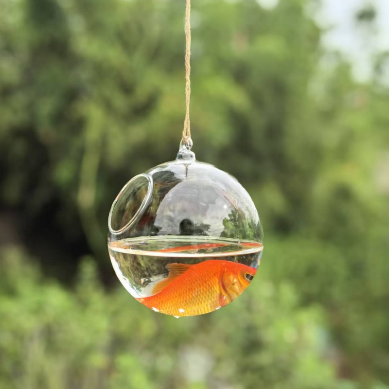 小型梱包直径=10cm 12cm 15cm 20cm 透明ガ - Aquarium のレビューと価格