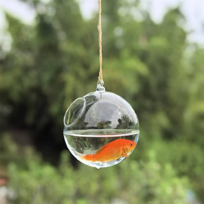 小型梱包直径=10cm 12cm 15cm 20cm 透明ガ - Aquarium のレビューと価格
