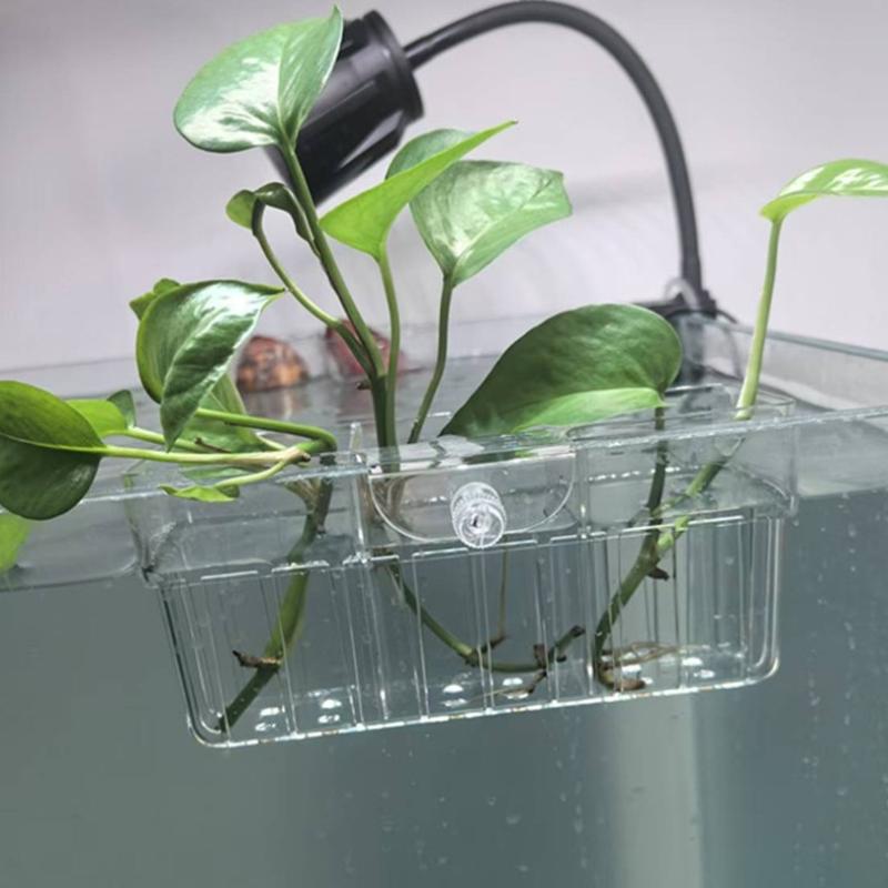 水耕栽培用植物バスケット 食品グレード 水生植物ホルダー 1 - Aquarium のレビューと価格