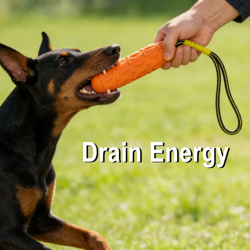 壊れない犬用噛むおもちゃ EVA製ロープ付き頑丈で耐久性のあ - Dog Rope Toy Aggressive Chewers のレビューと価格