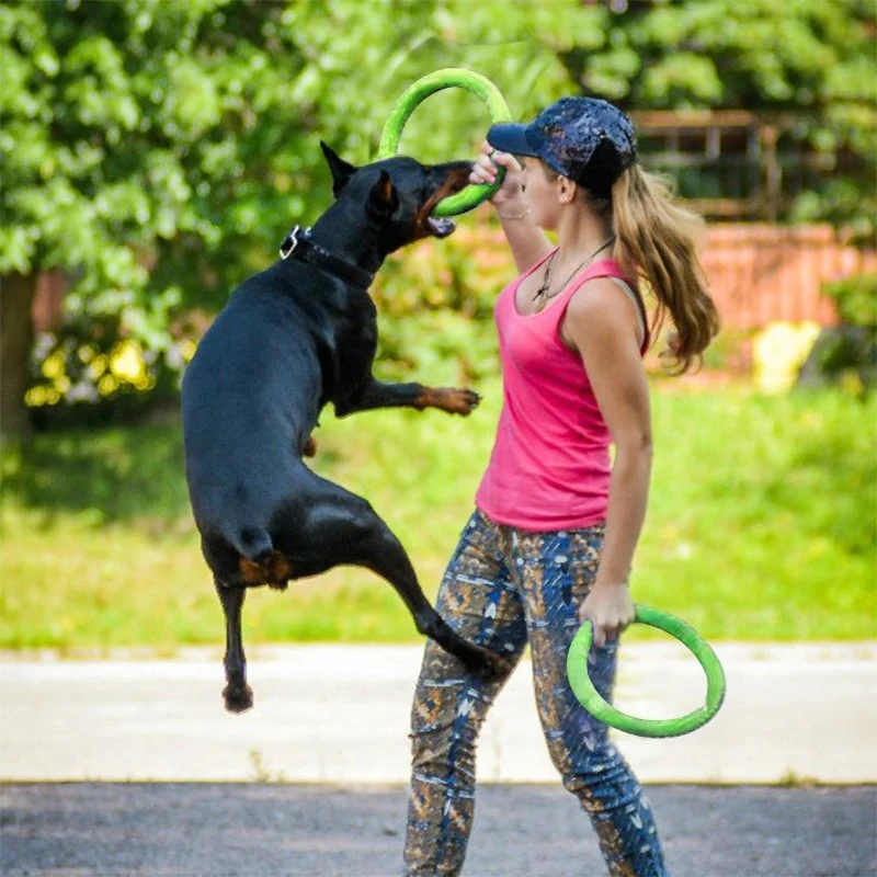 飛んでいるディスクバドッグトレーニングリング,犬のための耐摩 - Indestructible Dog Chew Toy のレビューと価格