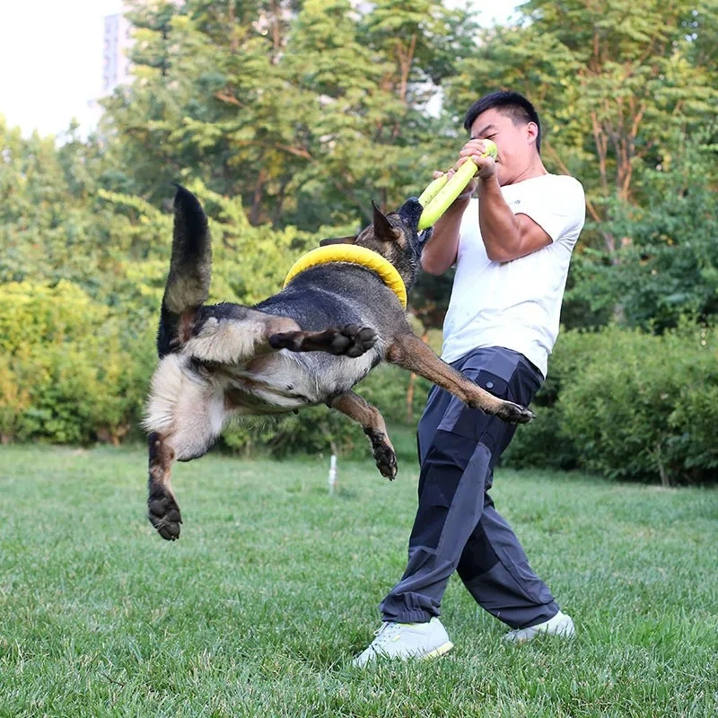 飛んでいるディスクバドッグトレーニングリング,犬のための耐摩 - Indestructible Dog Chew Toy のレビューと価格