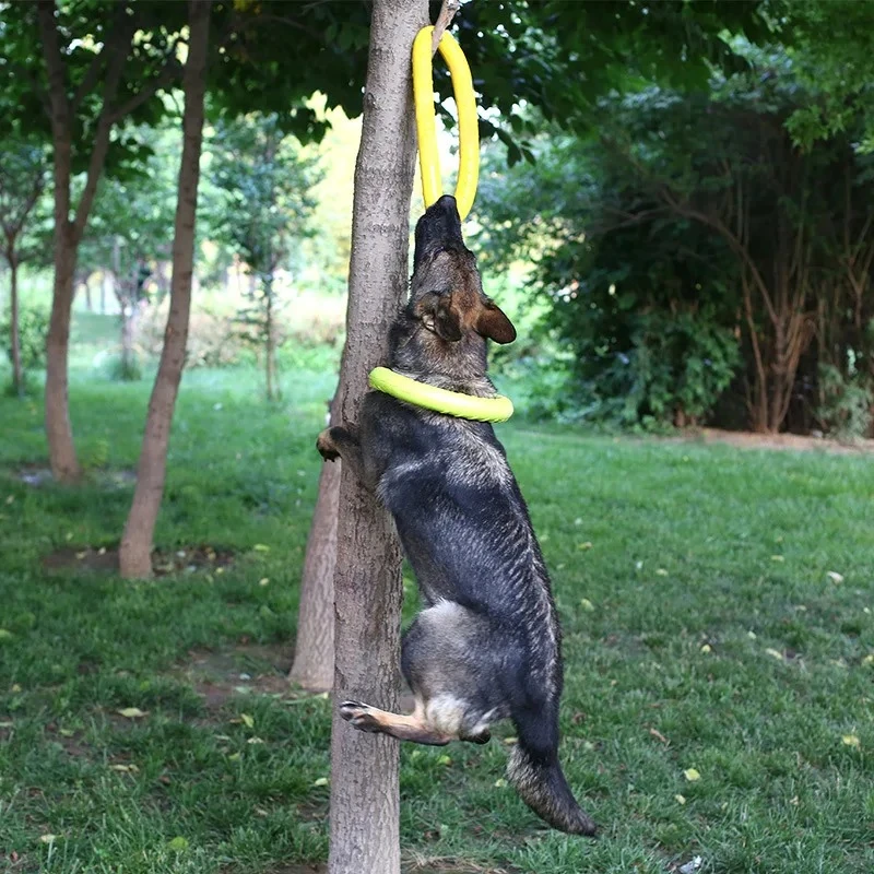 飛んでいるディスクバドッグトレーニングリング,犬のための耐摩 - Indestructible Dog Chew Toy のレビューと価格
