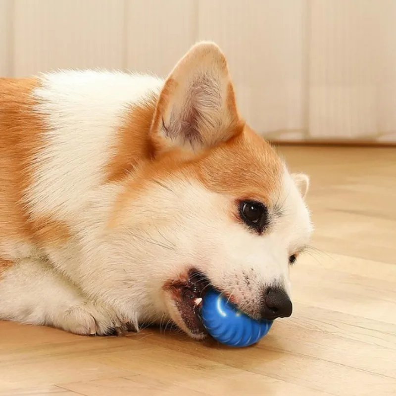 @1G ペット用おもちゃボール、自動で動き出す犬用おもちゃボ - Automatic Moving Dog Ball のレビューと価格