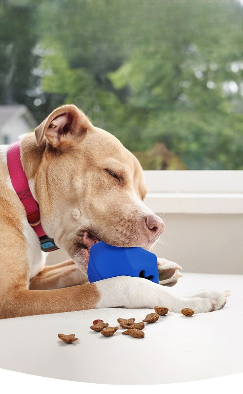 耐久性のあるゴム製犬用おやつディスペンサーおもちゃ、退屈解消 - Rubber Treat Dispensing Dog Toy のレビューと価格