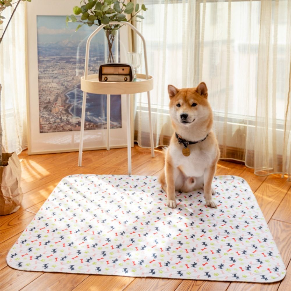 耐久性のある超吸収ペットベッドマット、再利用可能で洗える犬用 - Pet Beds のレビューと価格