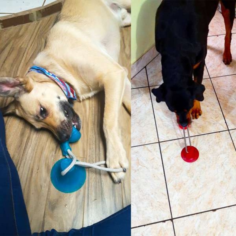 耐久性のある吸盤付き犬用おもちゃ、インタラクティブTPR噛む - Suction Cup Dog Tug Toy のレビューと価格