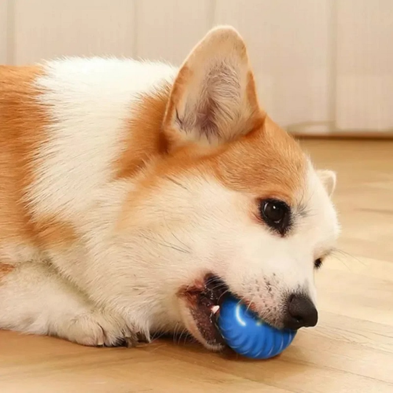 自動で動く犬用おもちゃボール、USB充電式スマートバウンシン - Automatic Moving Dog Ball のレビューと価格