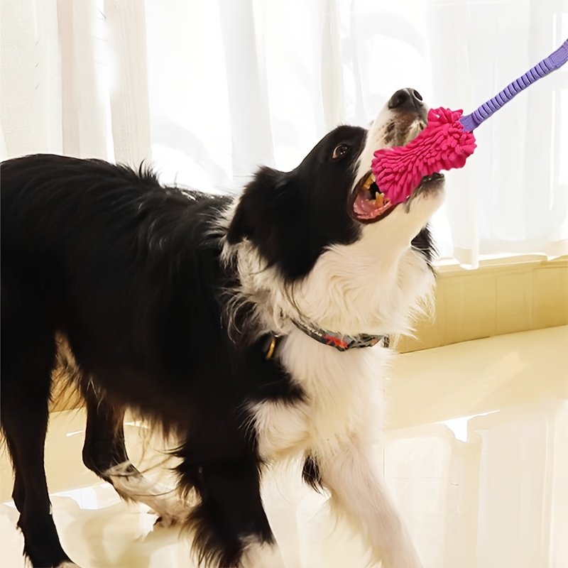 噛むのが大好きな犬用丈夫なおもちゃ - 頑丈なハンドル付き柔 - Suction Cup Dog Tug Toy のレビューと価格