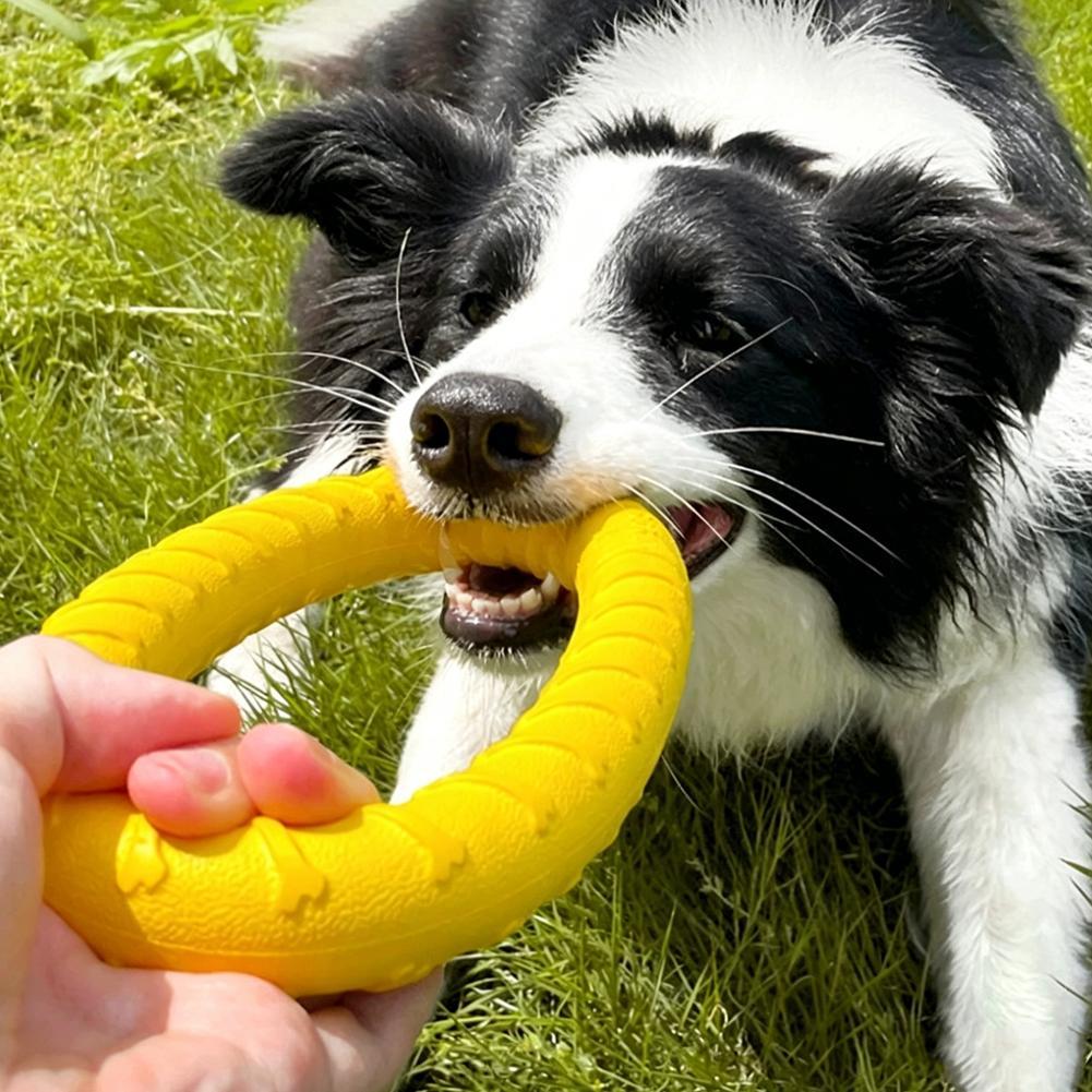犬用リングおもちゃ、壊れにくい噛むおもちゃ、飛んで浮くトレー - Indestructible Dog Chew Toy のレビューと価格