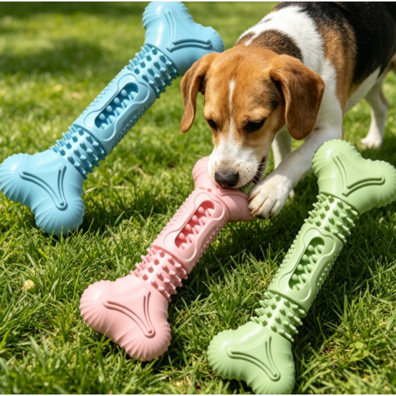 新しい耐久性のあるペット用噛み玩具セット 犬の歯が生える時期 - Teeth Cleaning Dog Chew Bone のレビューと価格
